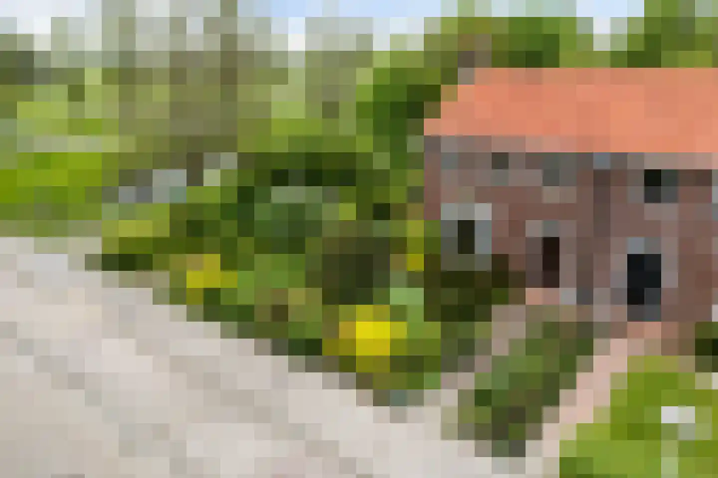 Skilwei 34 b Stiens thumbnail 48