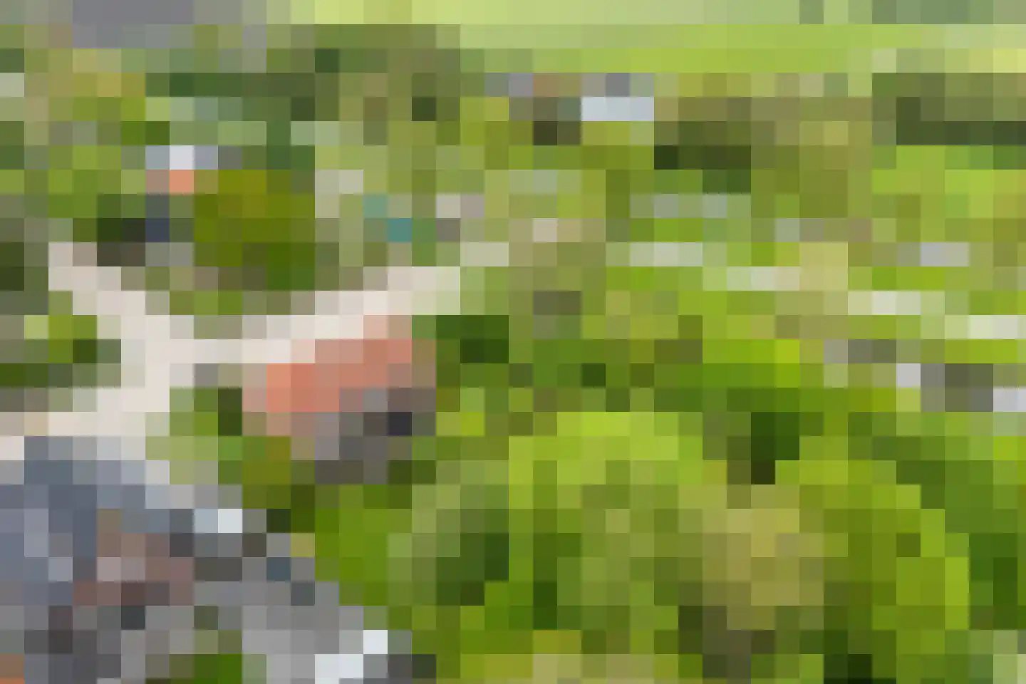 Skilwei 34 b Stiens thumbnail 51