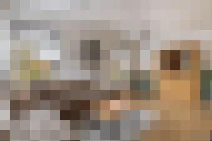 Skilwei 4 Stiens thumbnail 14