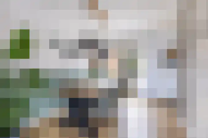 Skilwei 4 Stiens thumbnail 20