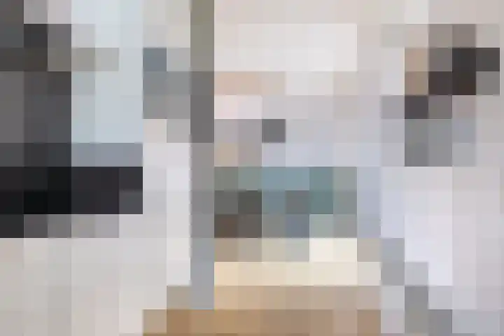 Skilwei 4 Stiens thumbnail 25