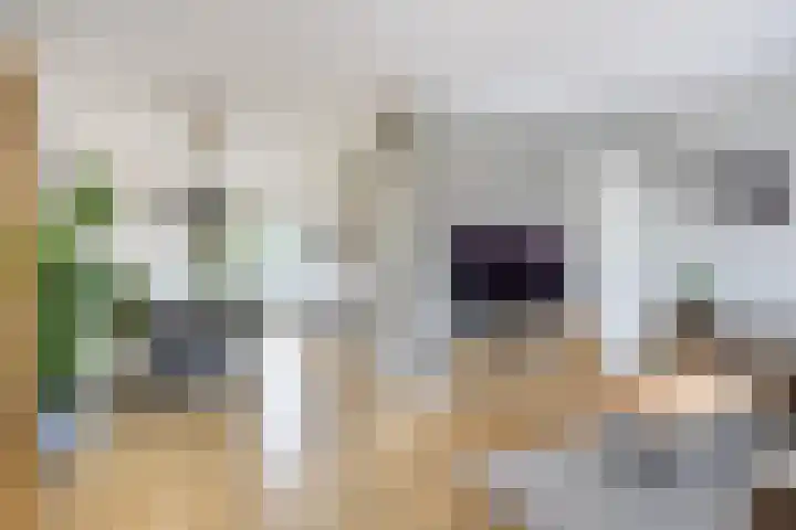 Skilwei 4 Stiens foto 3