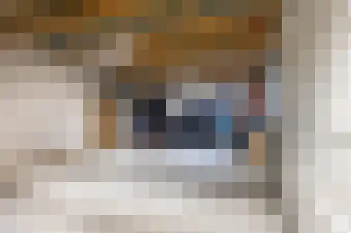 Skilwei 4 Stiens thumbnail 31