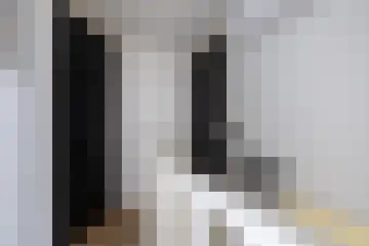 Skilwei 4 Stiens thumbnail 34