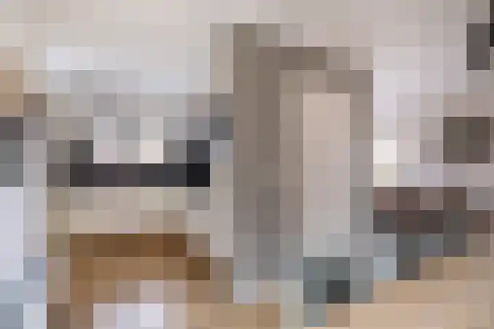 Skilwei 4 Stiens thumbnail 4