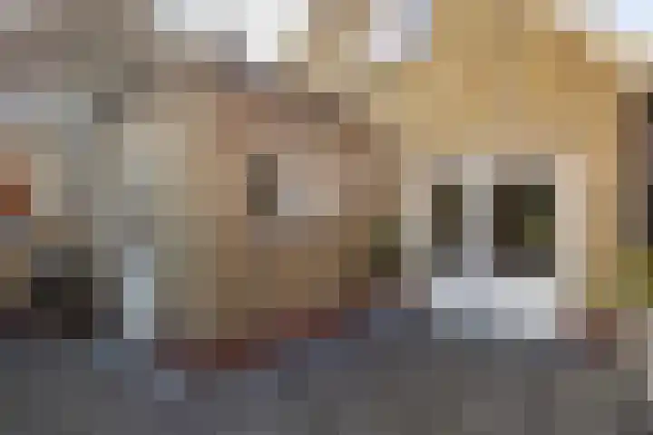 Skilwei 4 Stiens thumbnail 46