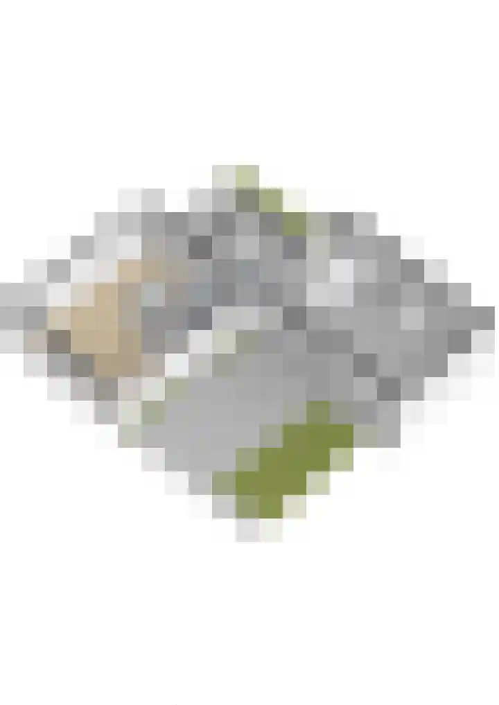 Skilwei 4 Stiens thumbnail 55