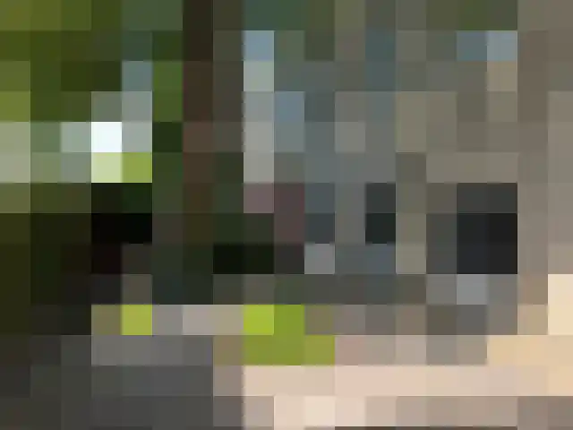 Skilwyk 13 Bolsward thumbnail 21