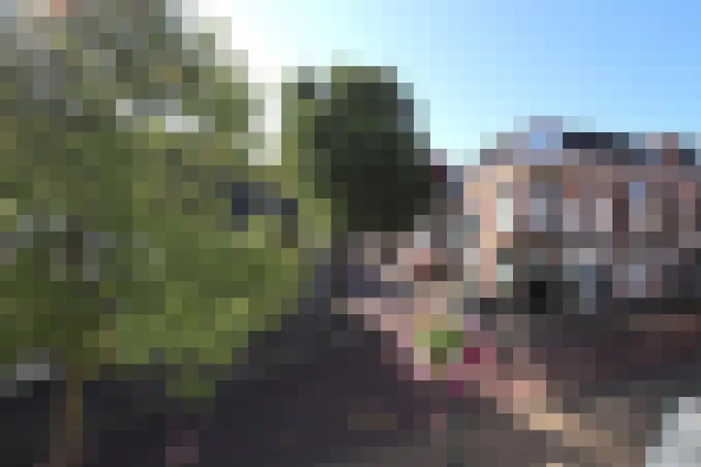 Skilwyk 13 Bolsward thumbnail 30