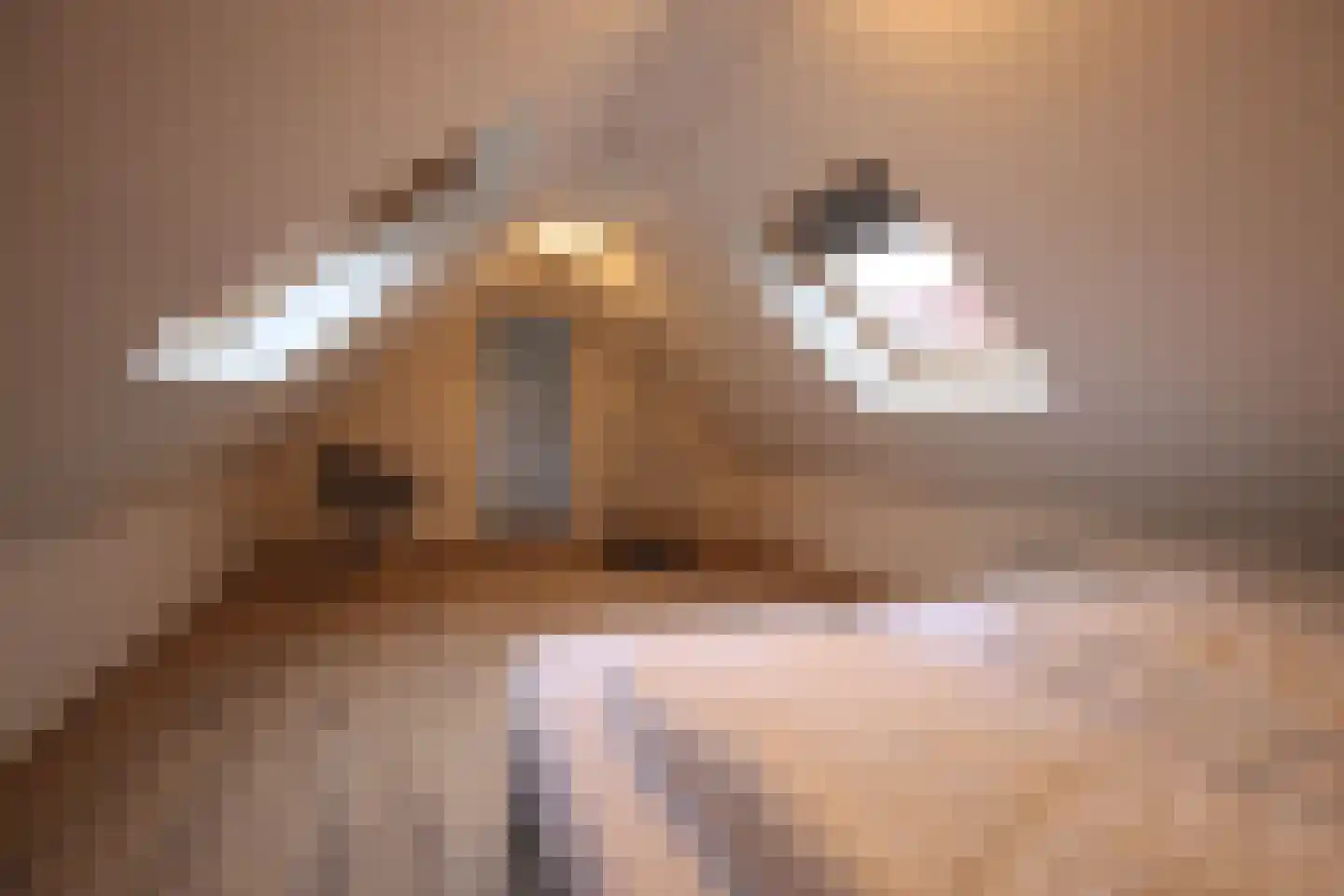 Skilwyk 13 Bolsward thumbnail 41