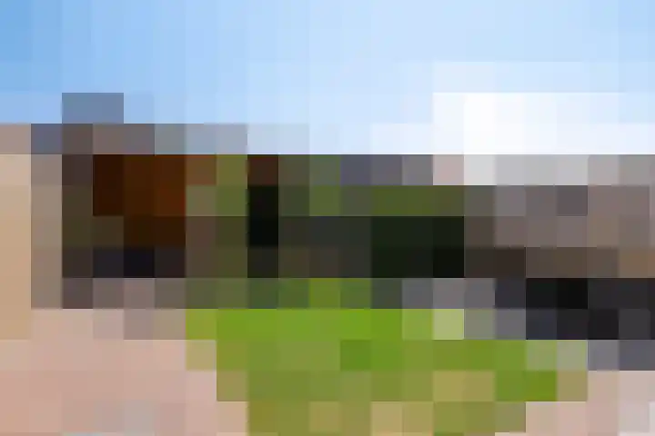 Skimmiastraat 8 's-Gravenpolder thumbnail 31