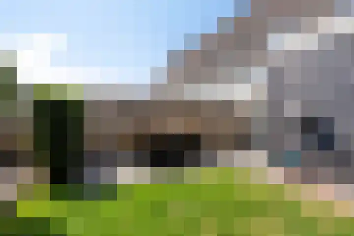 Skimmiastraat 8 's-Gravenpolder thumbnail 32