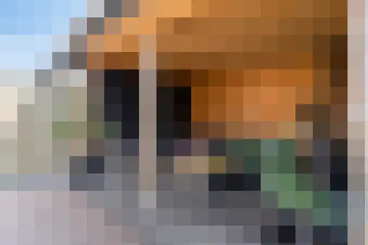 Skimmiastraat 8 's-Gravenpolder thumbnail 33