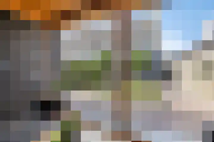 Skimmiastraat 8 's-Gravenpolder thumbnail 34