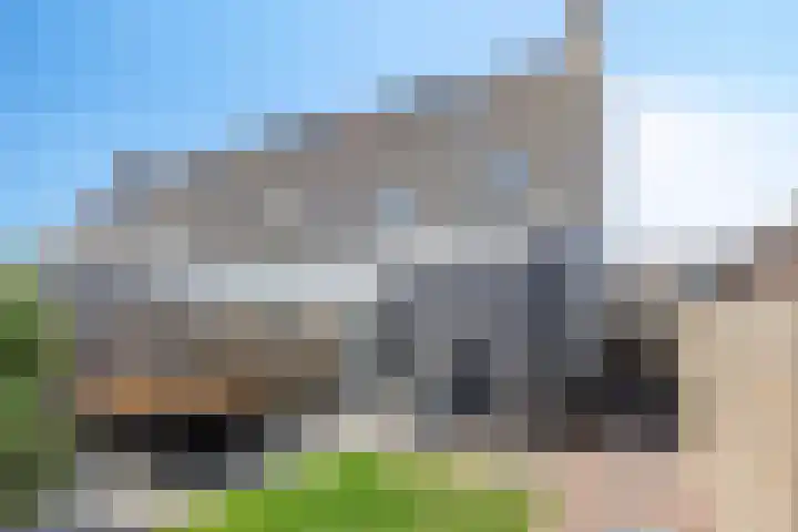 Skimmiastraat 8 's-Gravenpolder thumbnail 35