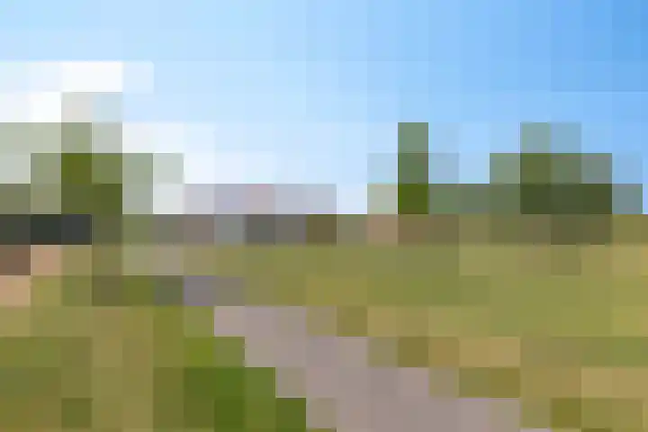 Skimmiastraat 8 's-Gravenpolder thumbnail 36