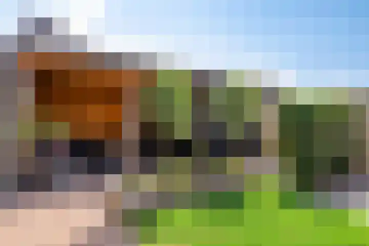 Skimmiastraat 8 's-Gravenpolder thumbnail 4