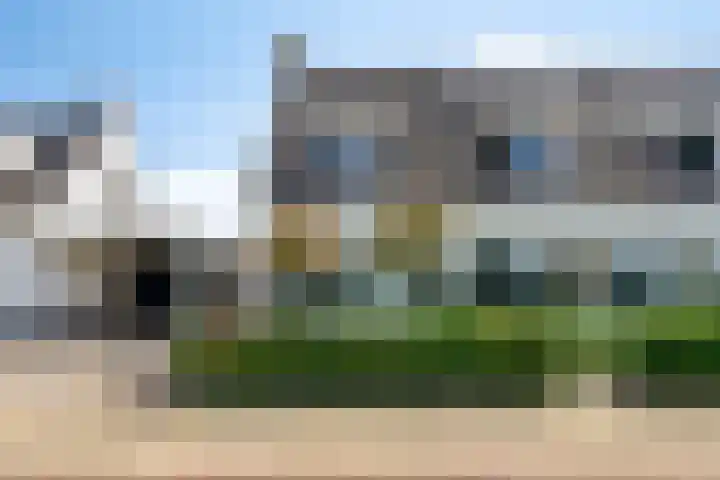 Skimmiastraat 8 's-Gravenpolder thumbnail 41