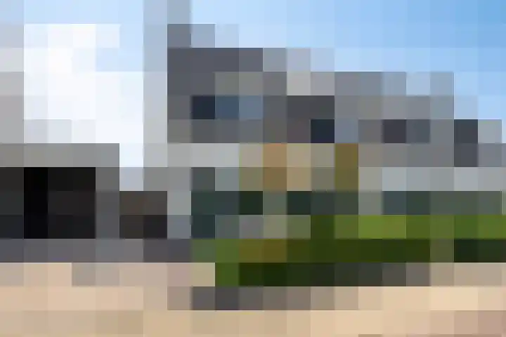 Skimmiastraat 8 's-Gravenpolder thumbnail 5