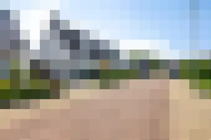 Skimmiastraat 8 's-Gravenpolder thumbnail 6