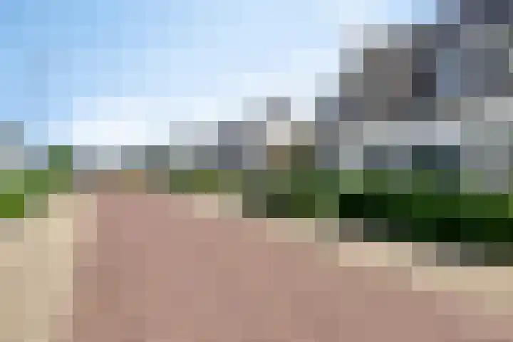 Skimmiastraat 8 's-Gravenpolder thumbnail 7
