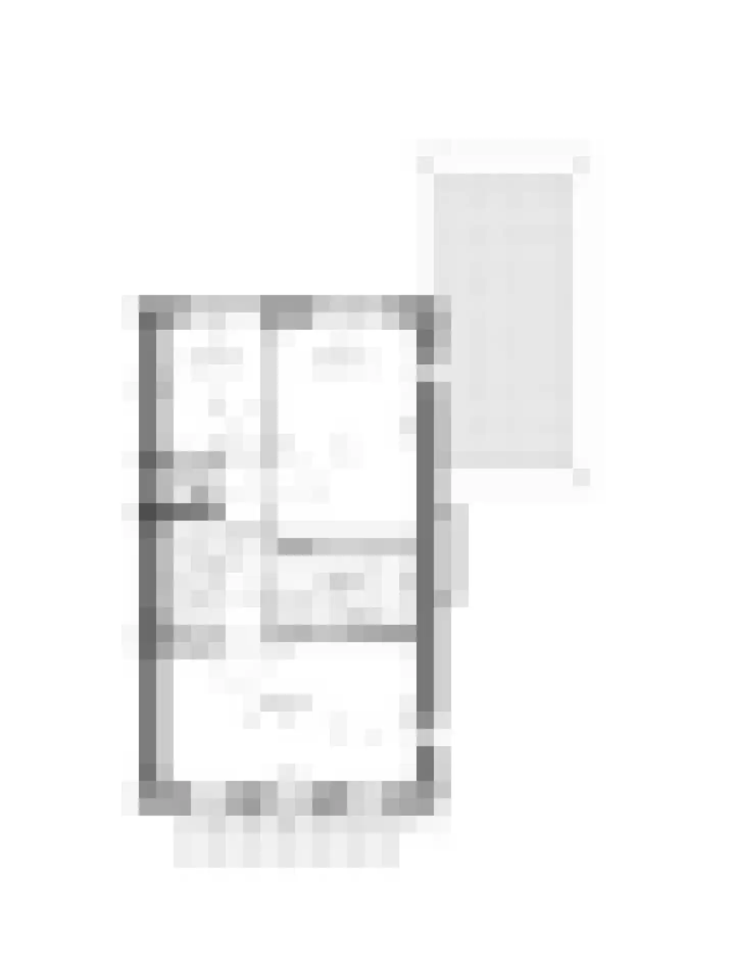 Skimmiatuin 19 Pijnacker thumbnail 5