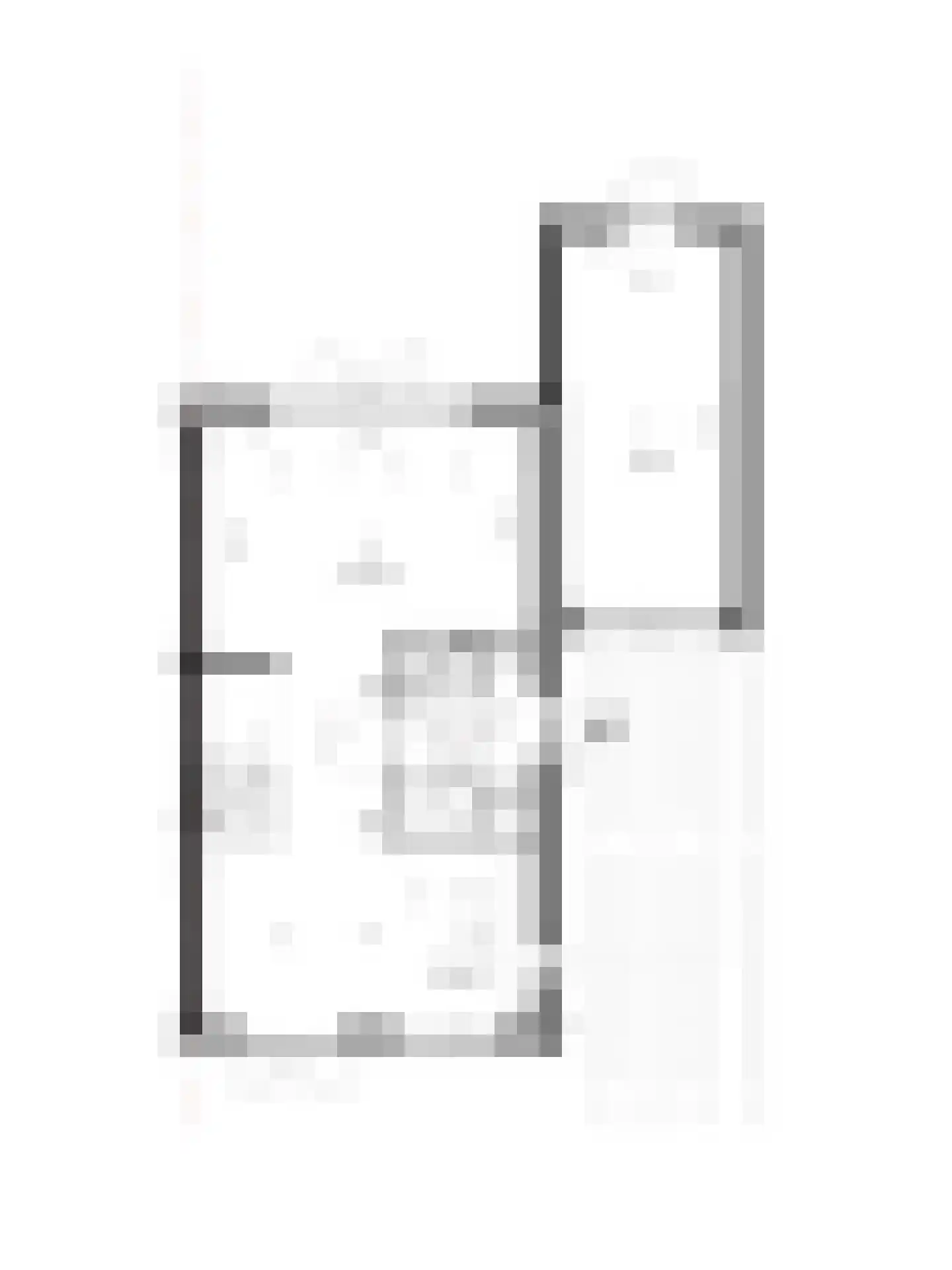 Skimmiatuin 19 Pijnacker thumbnail 6