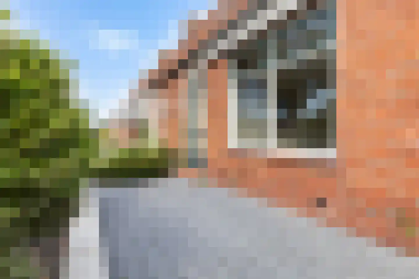 Skipfeartsein 11 Mitselwier thumbnail 11