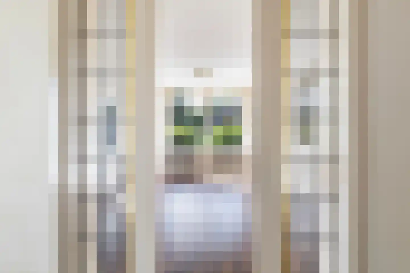 Skipfeartsein 11 Mitselwier thumbnail 16