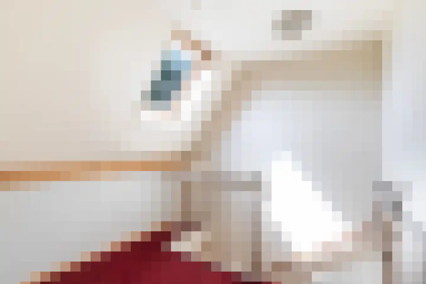 Skipfeartsein 11 Mitselwier thumbnail 22