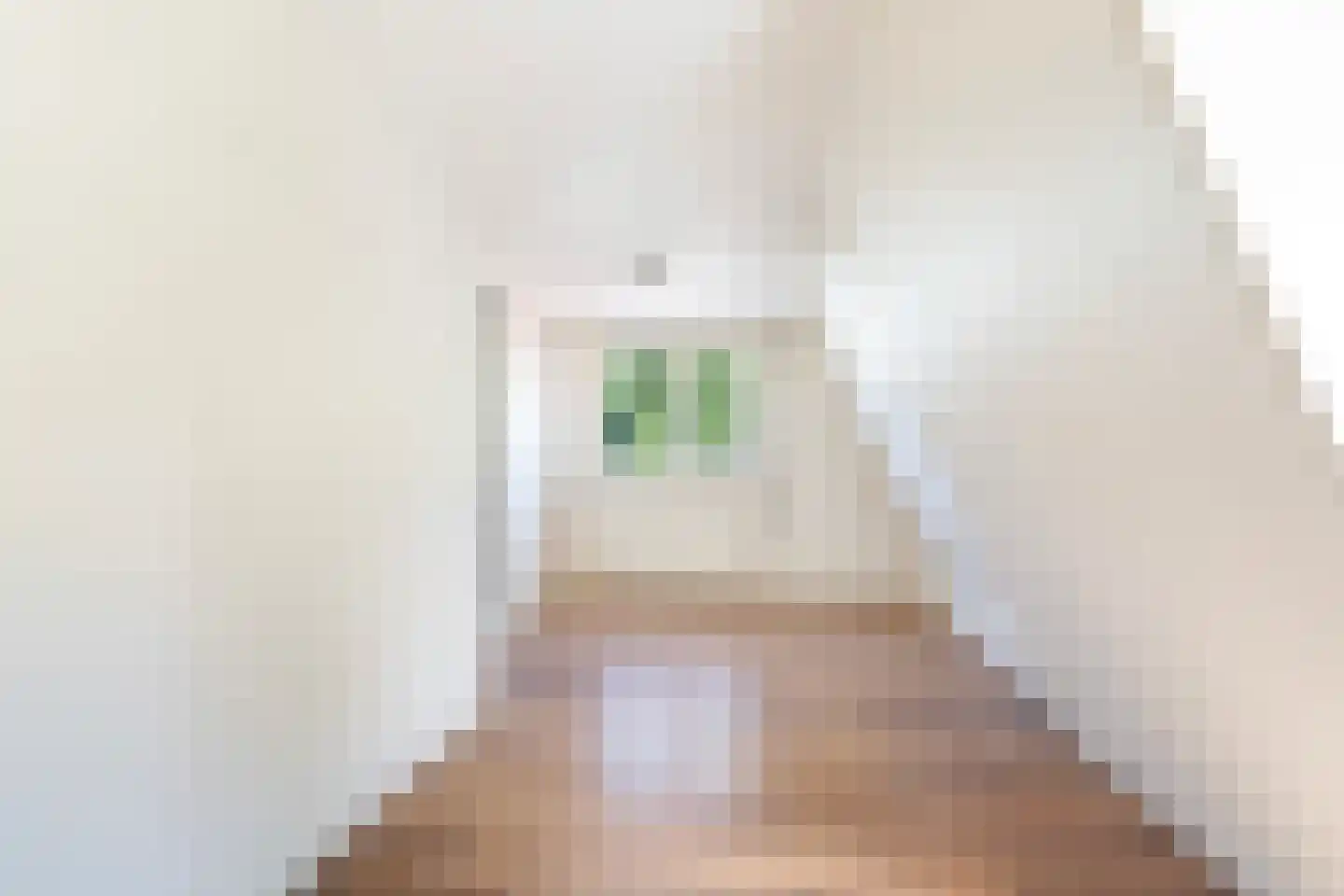 Skipfeartsein 11 Mitselwier thumbnail 26