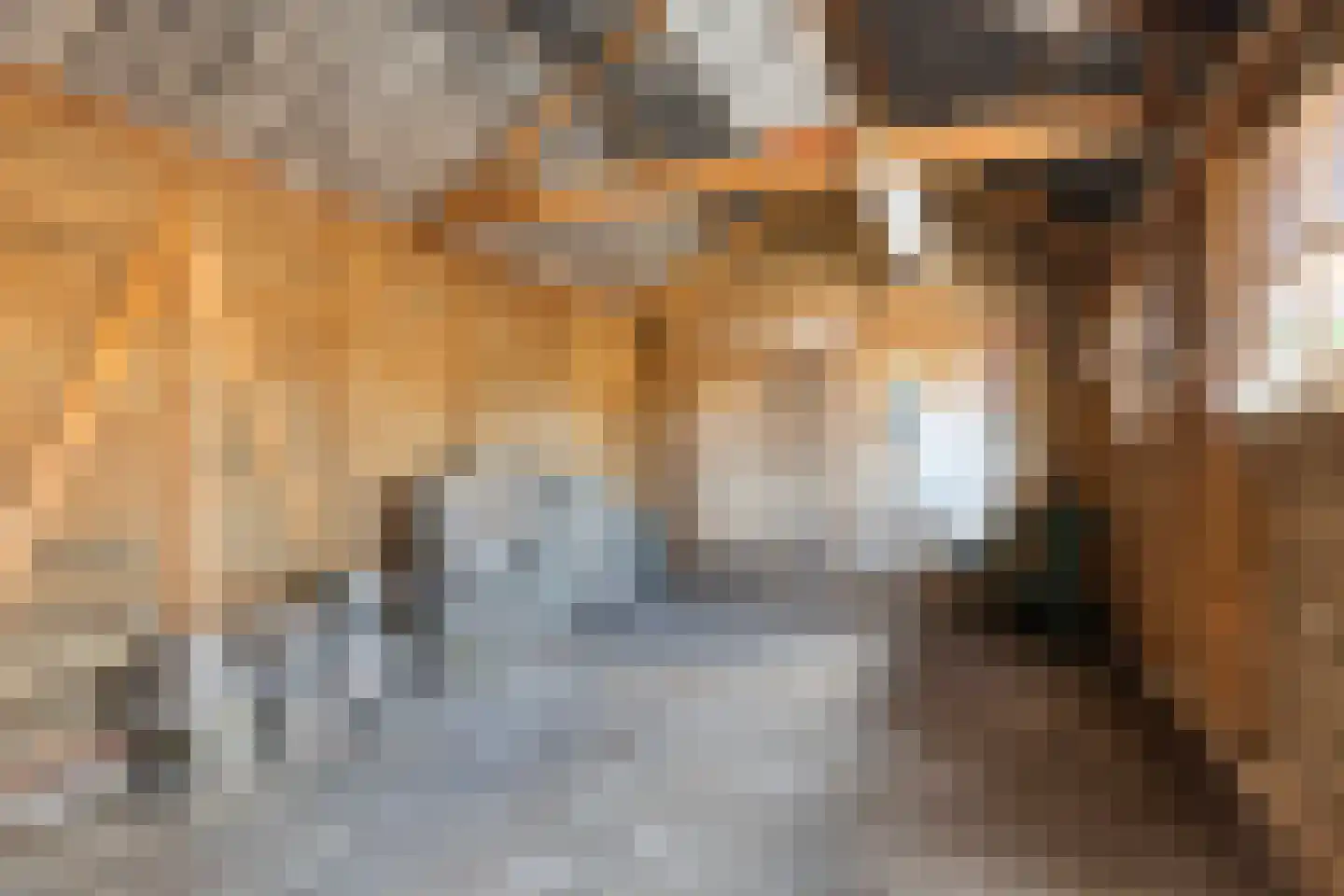 Skipfeartsein 11 Mitselwier thumbnail 33