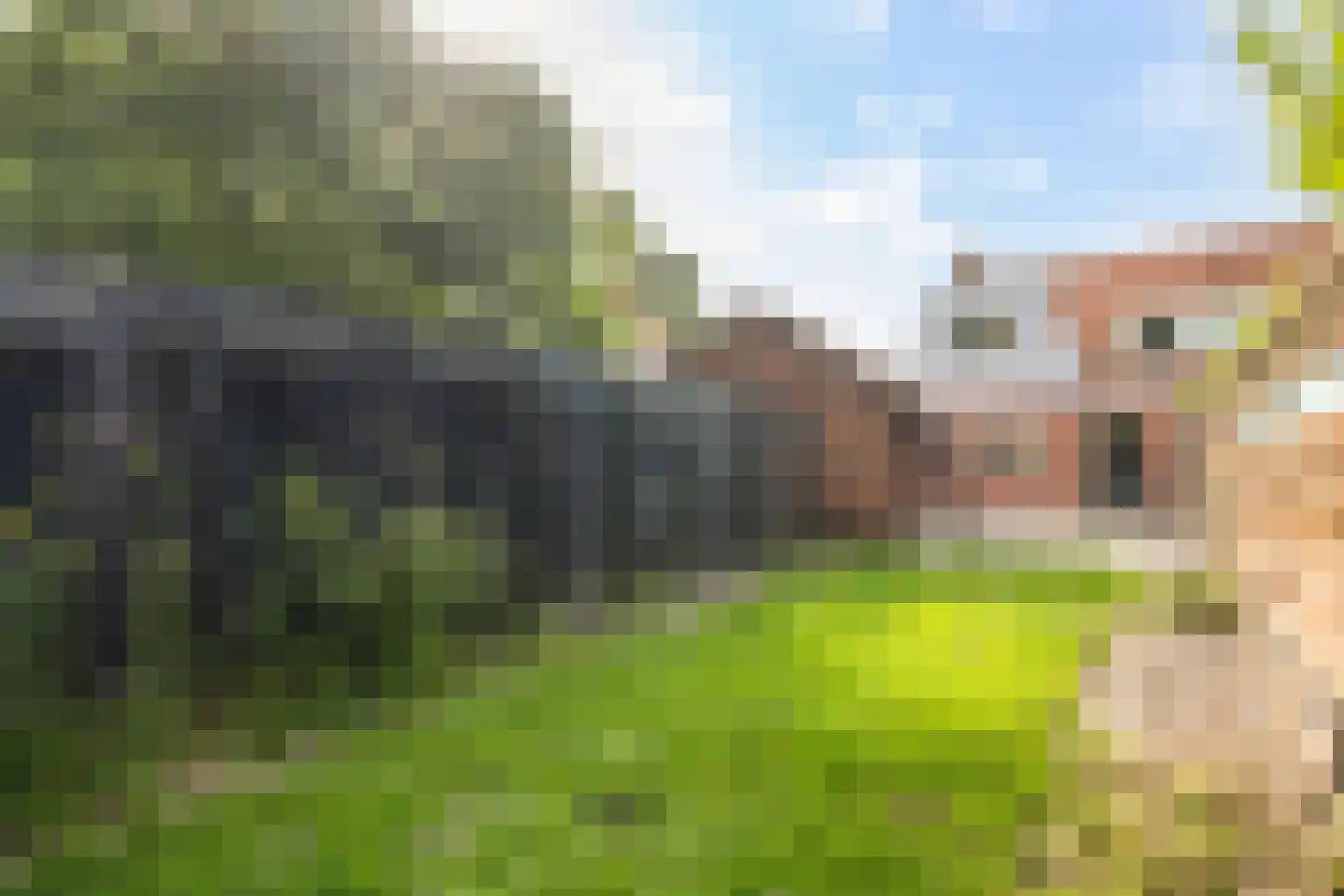 Skipfeartsein 11 Mitselwier thumbnail 38