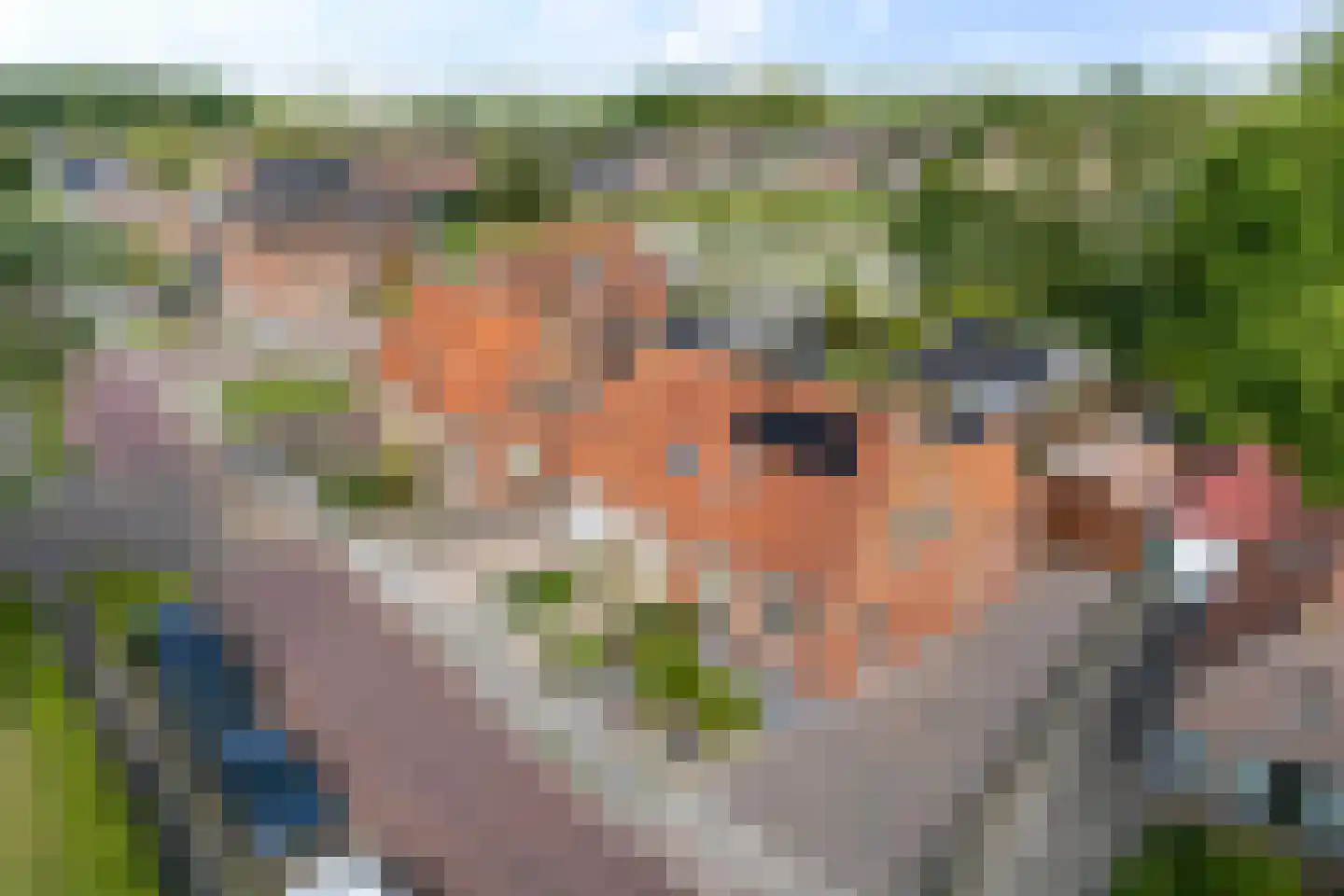 Skipfeartsein 11 Mitselwier thumbnail 43