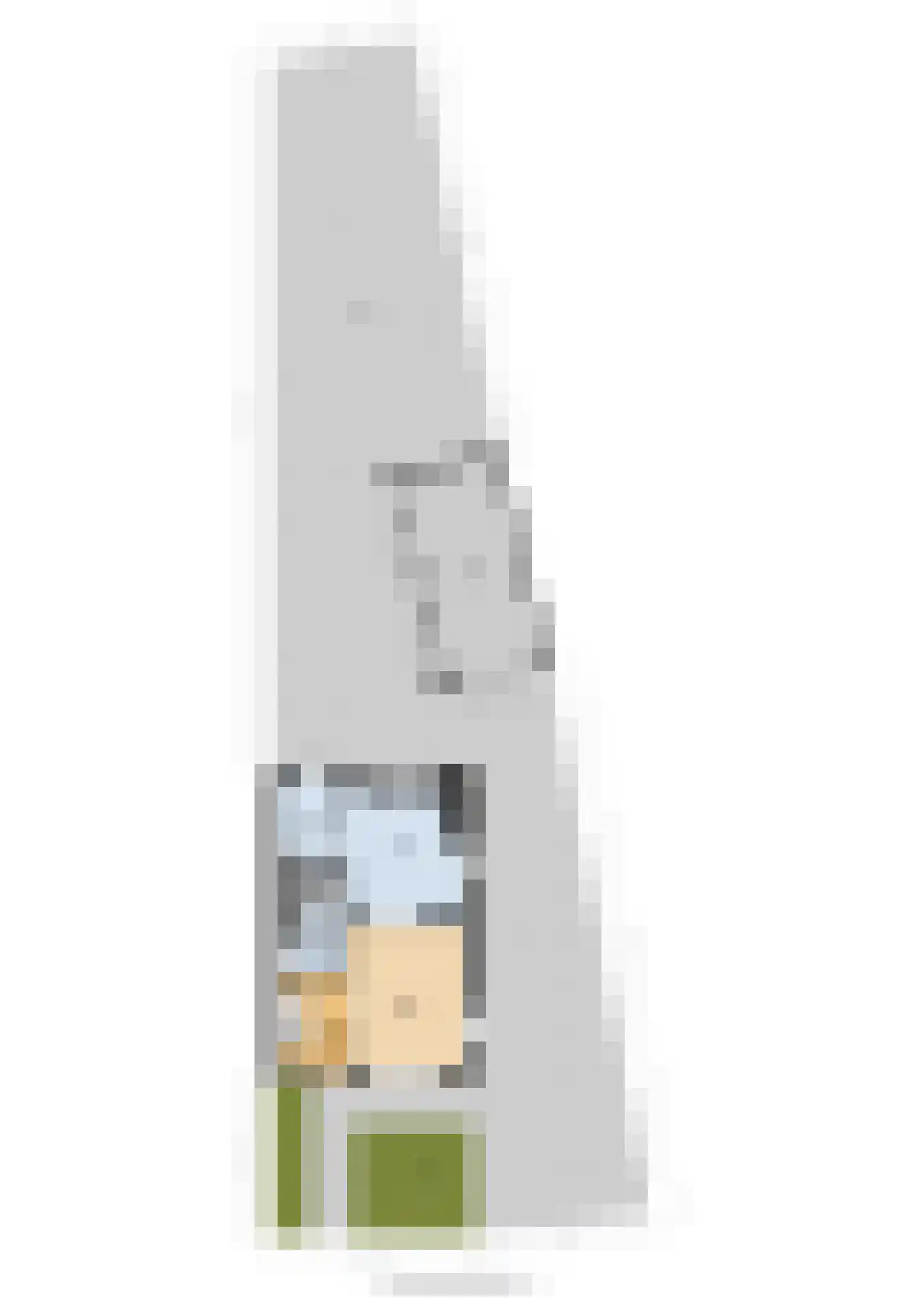 Skipfeartsein 11 Mitselwier thumbnail 44