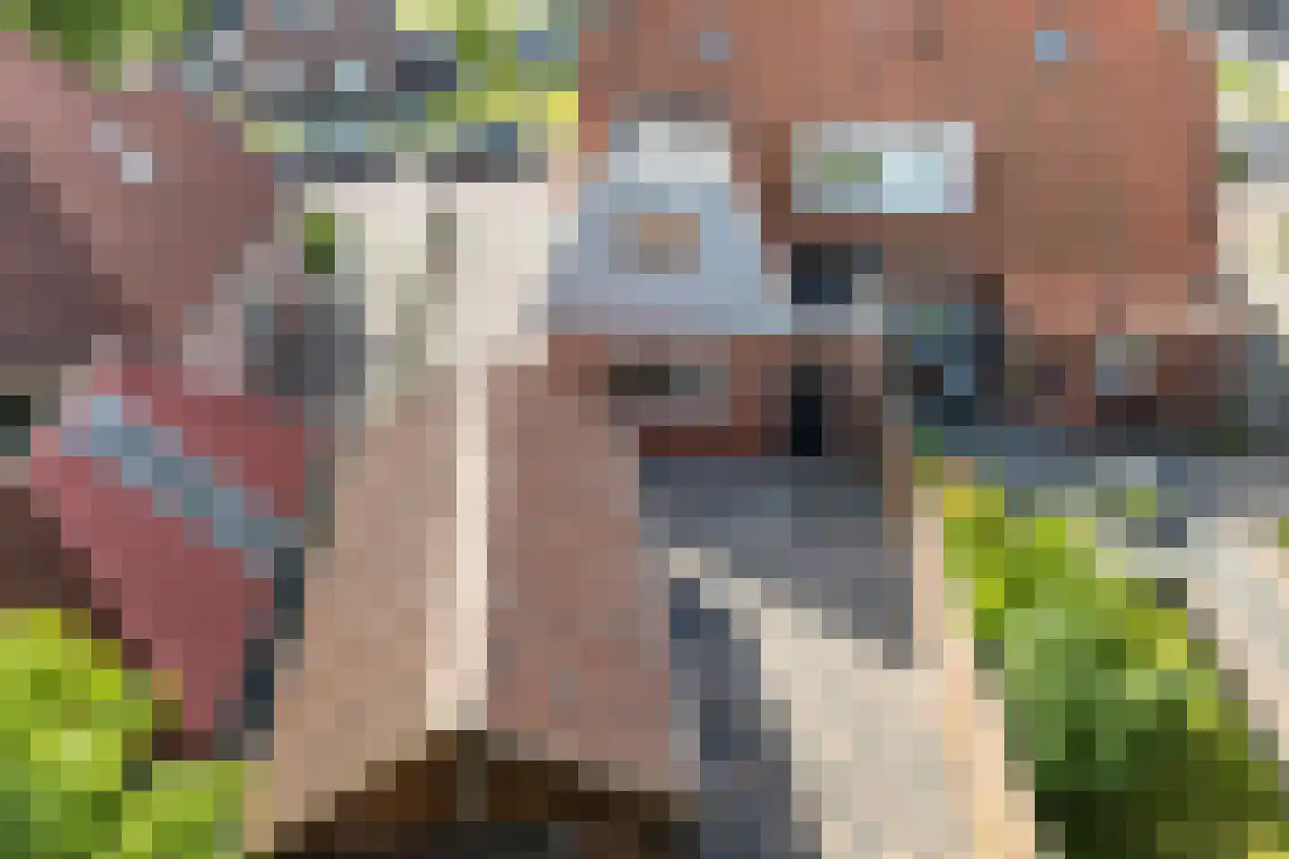 Skipfeartsein 11 Mitselwier thumbnail 5