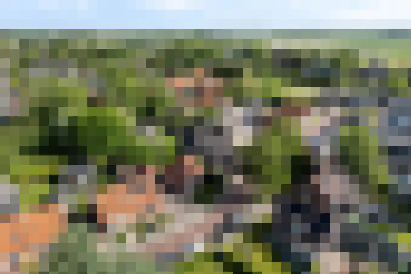 Skipfeartsein 11 Mitselwier thumbnail 6