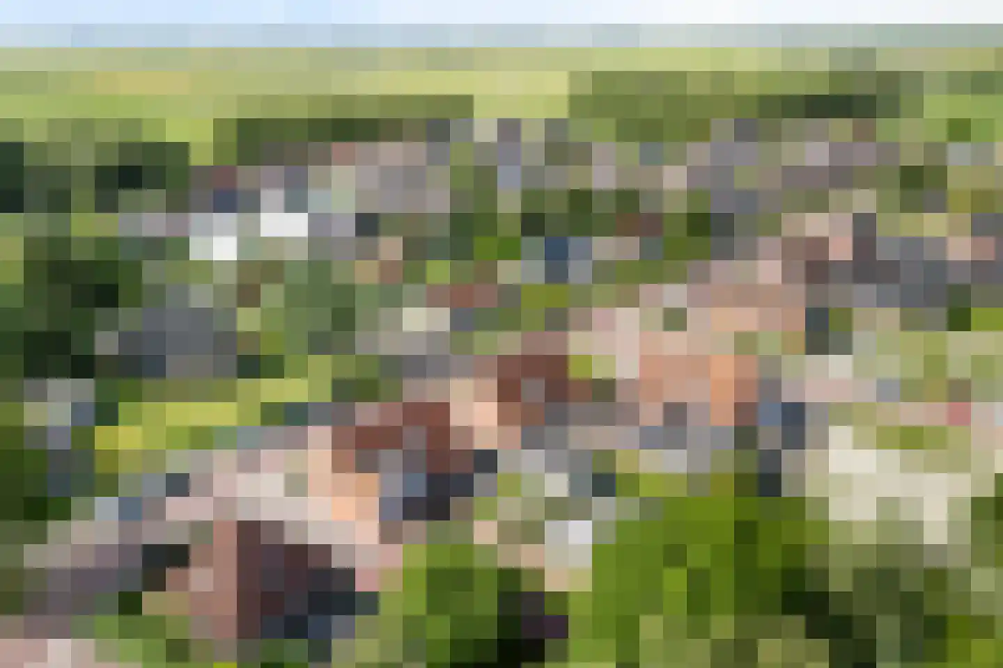 Skipfeartsein 11 Mitselwier thumbnail 7