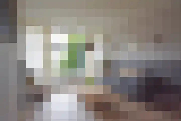 Skippersstrjitte 3 Burgum thumbnail 14