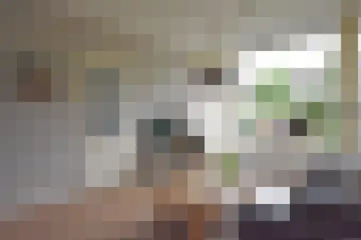 Skippersstrjitte 3 Burgum thumbnail 15