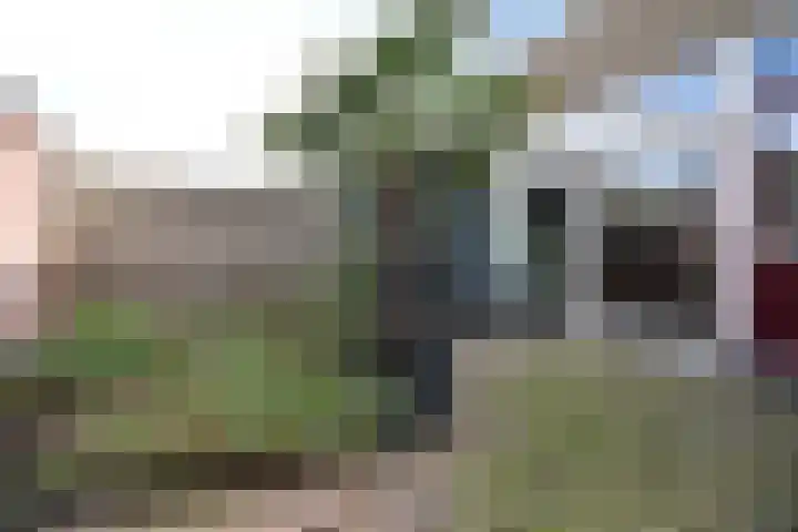 Skippersstrjitte 3 Burgum thumbnail 6