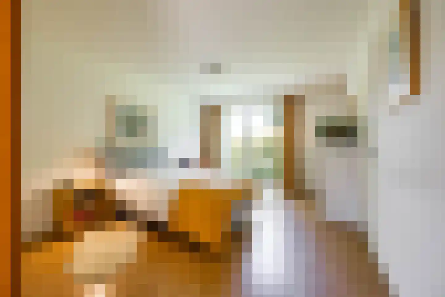 Skiramere 11 Harkstede thumbnail 24