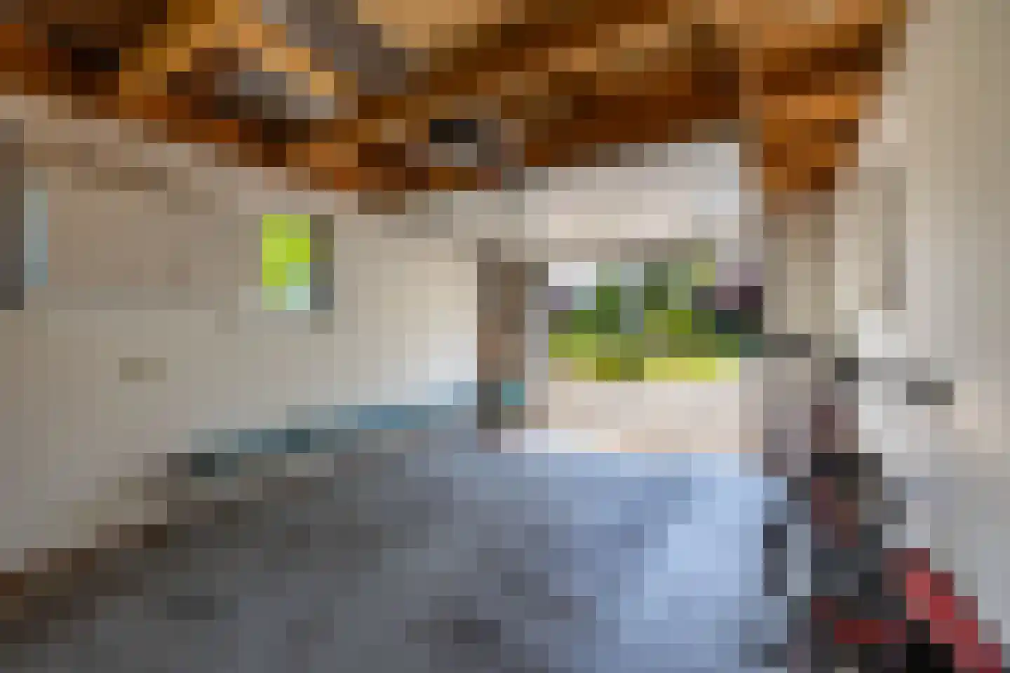 Skiramere 11 Harkstede thumbnail 30