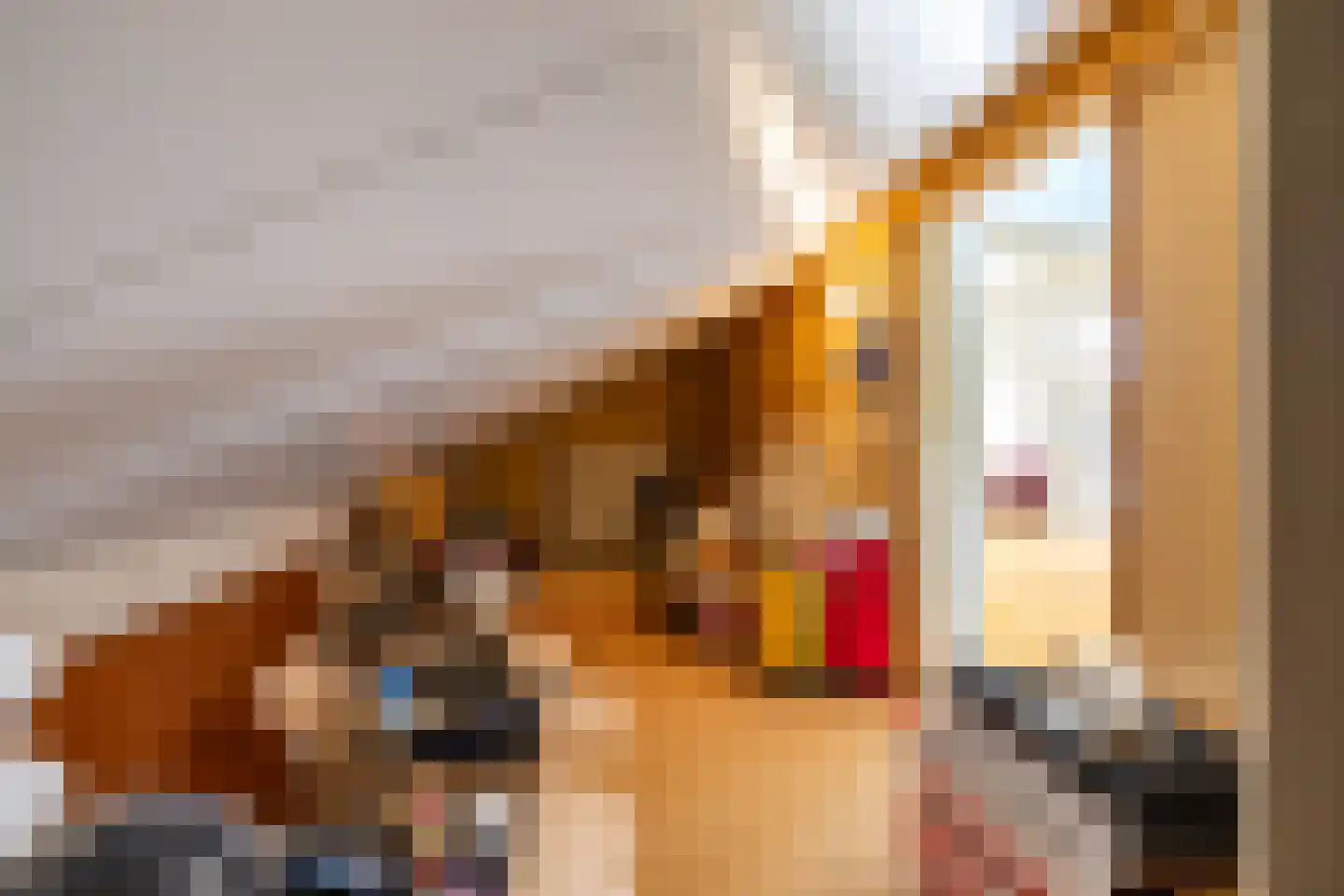 Skiramere 11 Harkstede thumbnail 43
