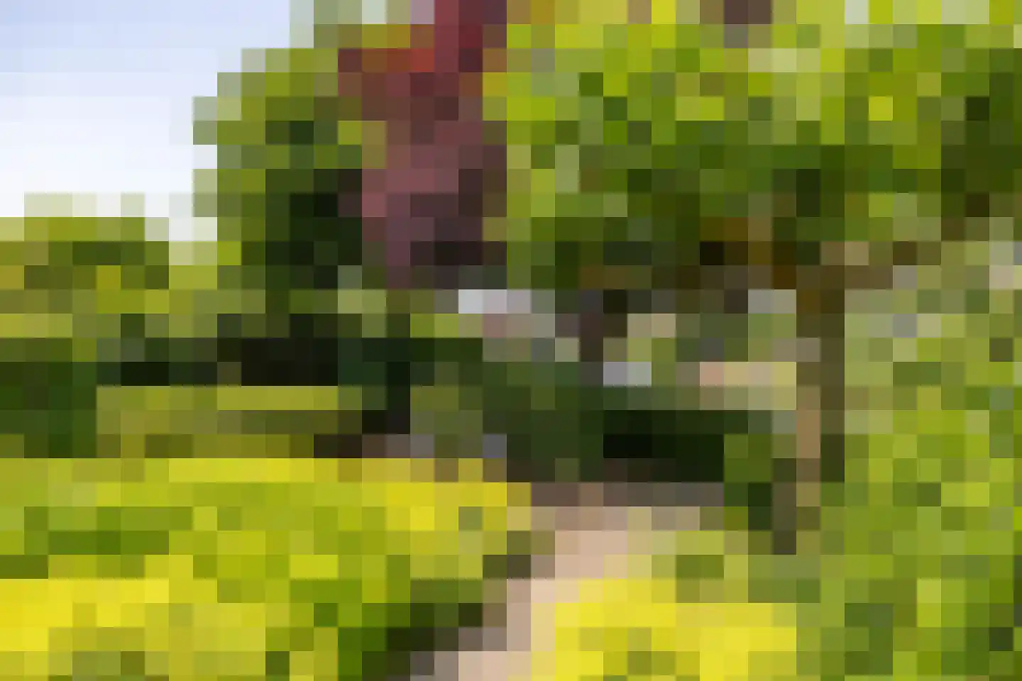 Skiramere 11 Harkstede thumbnail 50