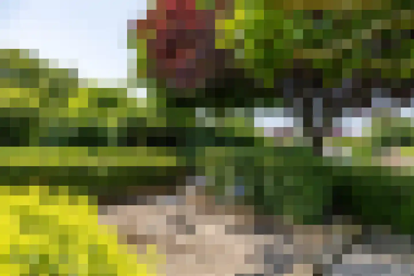Skiramere 11 Harkstede thumbnail 51