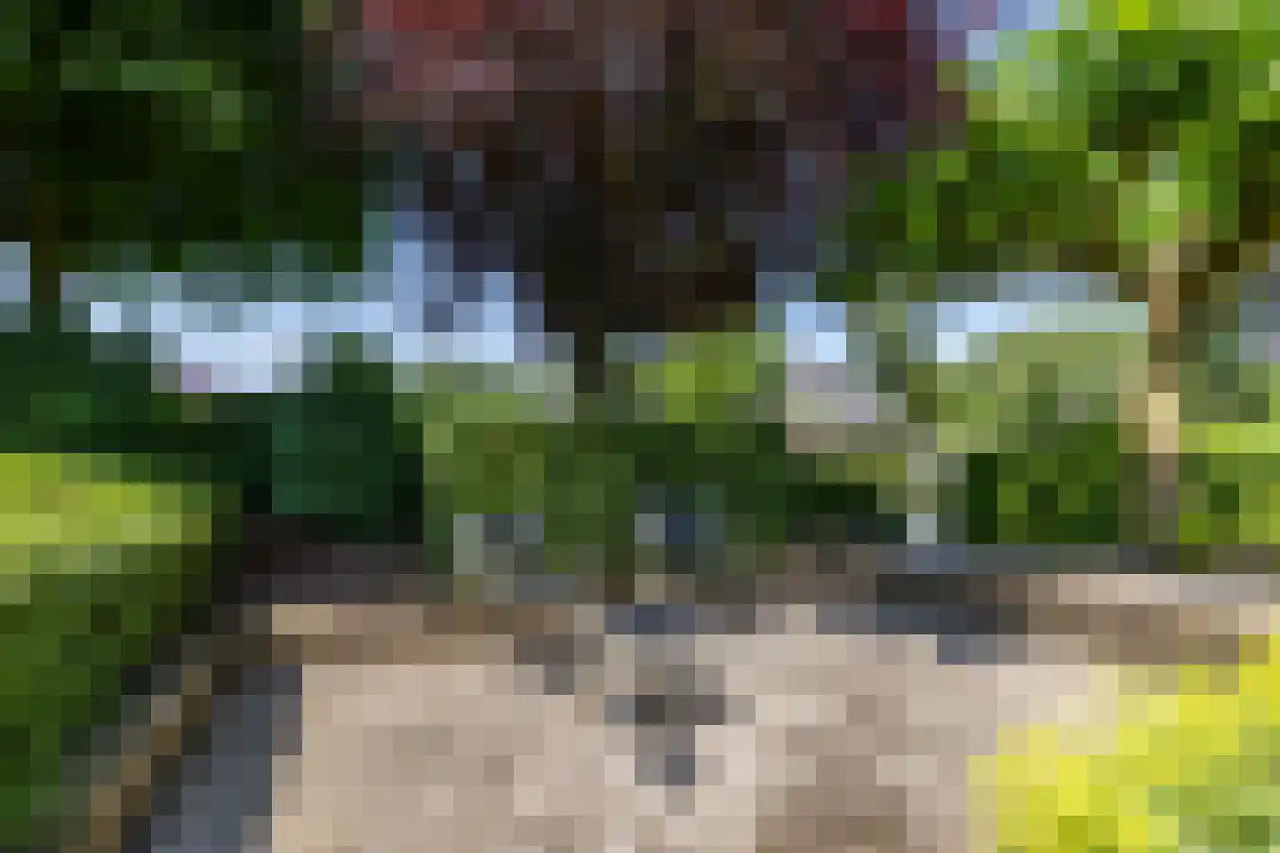 Skiramere 11 Harkstede thumbnail 52