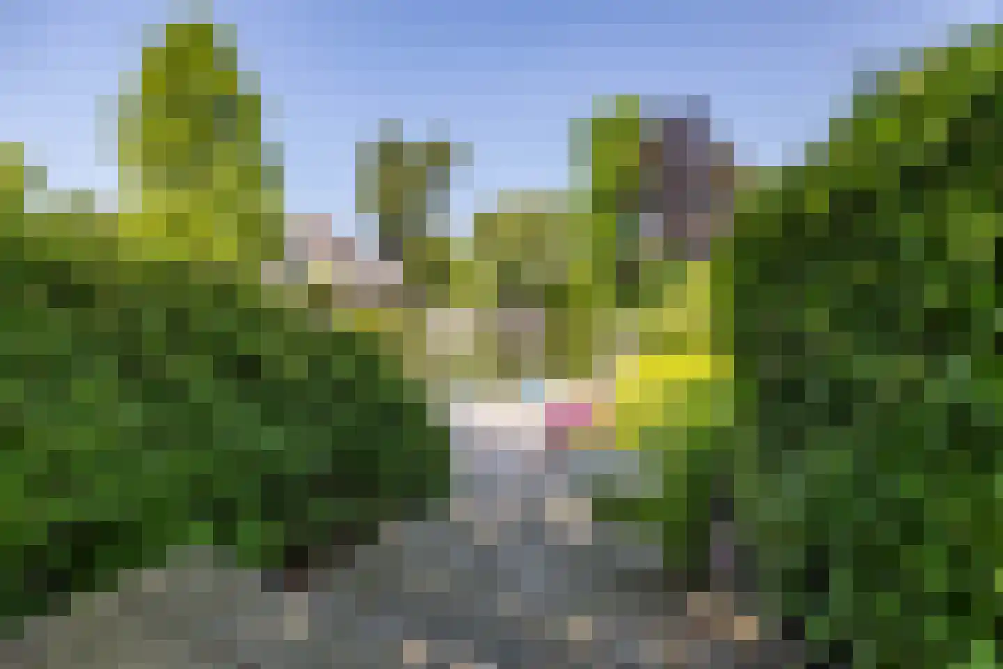 Skiramere 11 Harkstede thumbnail 53