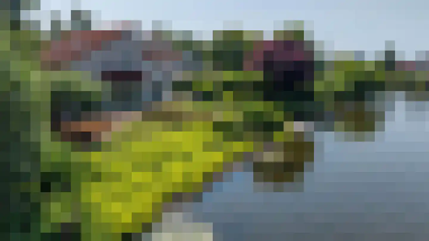 Skiramere 11 Harkstede thumbnail 60