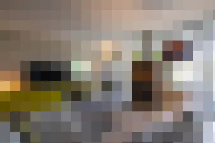 Skiramere 28 Harkstede thumbnail 13